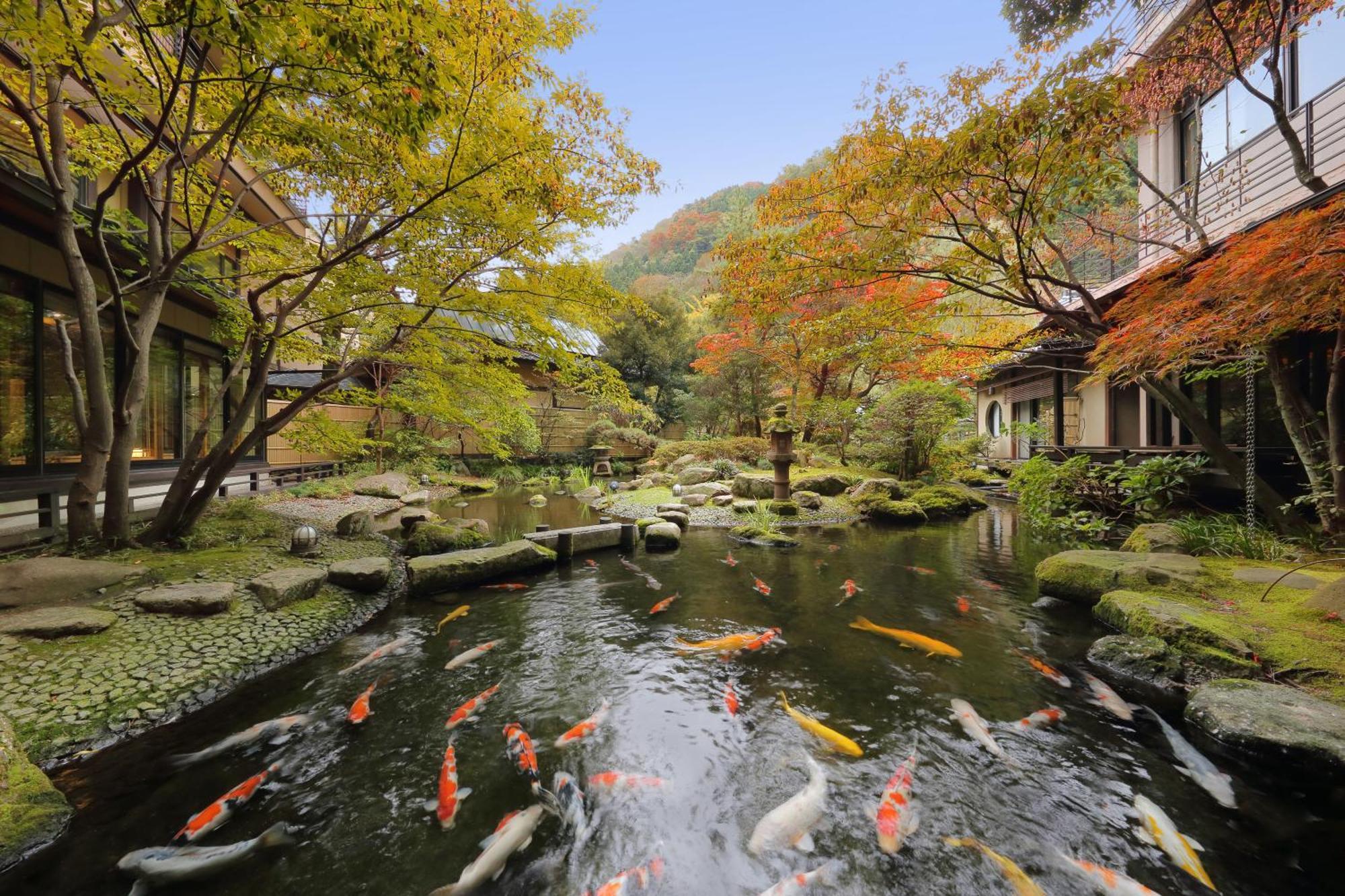 Hotel Tachibanaya Curuoka Exteriér fotografie
