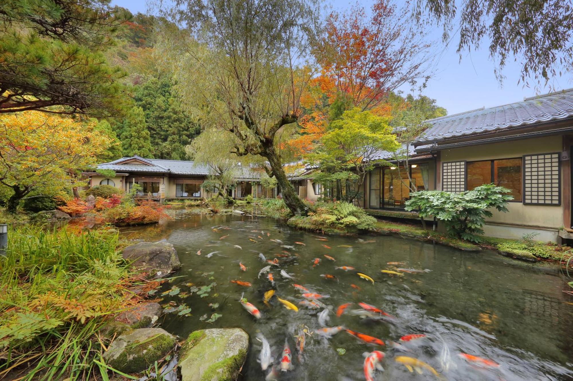 Hotel Tachibanaya Curuoka Exteriér fotografie