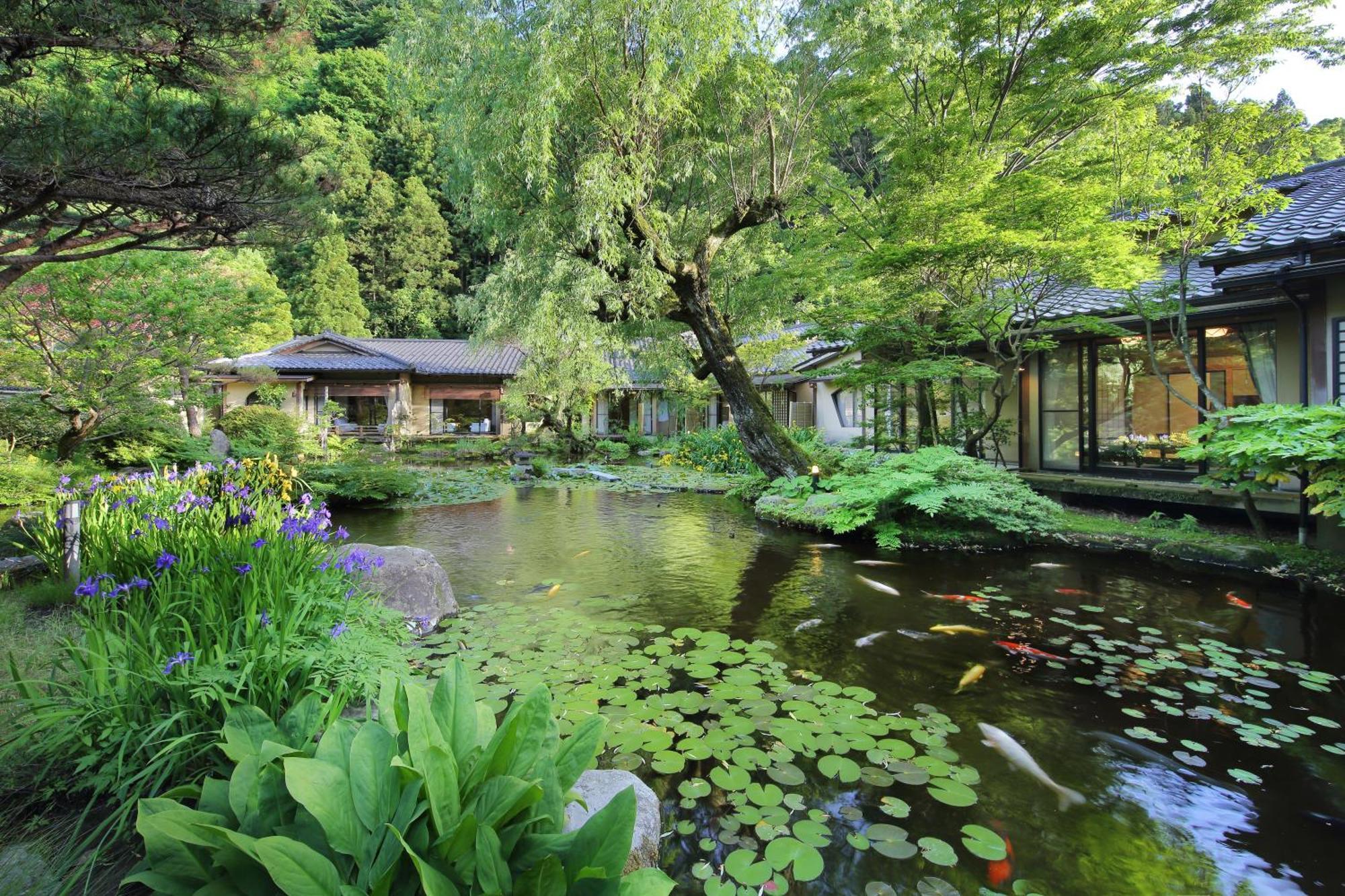 Hotel Tachibanaya Curuoka Exteriér fotografie